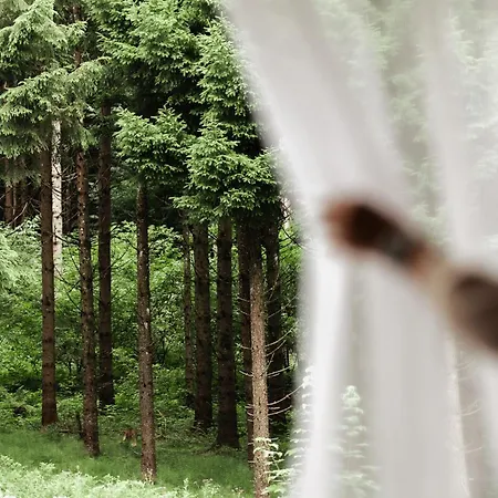 Allgaeuer Bergwald 4*