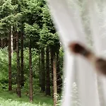 Allgaeuer Bergwald 4*